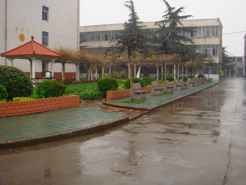 �Ϲ��WУ������